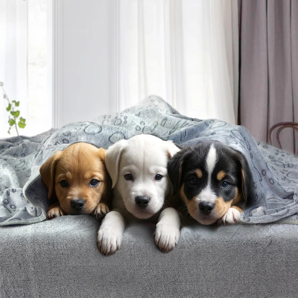 CalmCuddle™ Paw Print Blanket — Soft, Cozy, Machine-Washable Comfort for Dogs & Puppies
