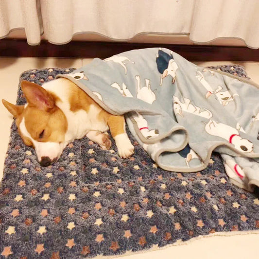 🐾 CalmCuddle™ Pet Sleeping Mat — Cozy, Washable Dog & Cat Bed for Small & Large Pets