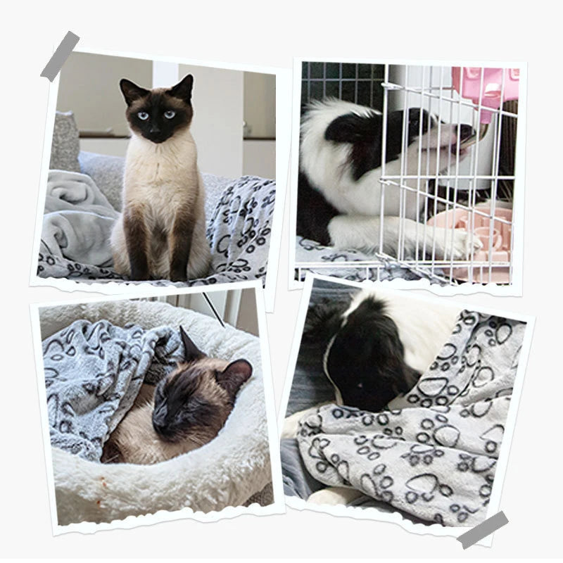 CalmCuddle™ Pet Calming Blanket — Soft, Fluffy & Stress-Relieving for Dogs & Cats